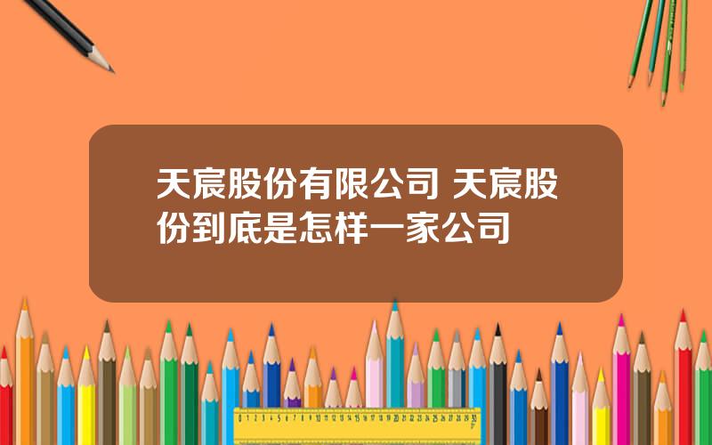 天宸股份有限公司 天宸股份到底是怎样一家公司